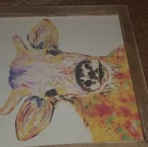 Multicolored Cow picture